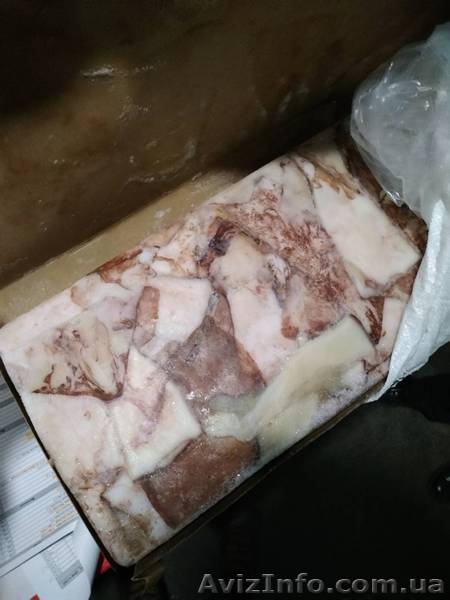 Кальмар тушка свежемороженный - <ro>Изображение</ro><ru>Изображение</ru> #2, <ru>Объявление</ru> #1627718