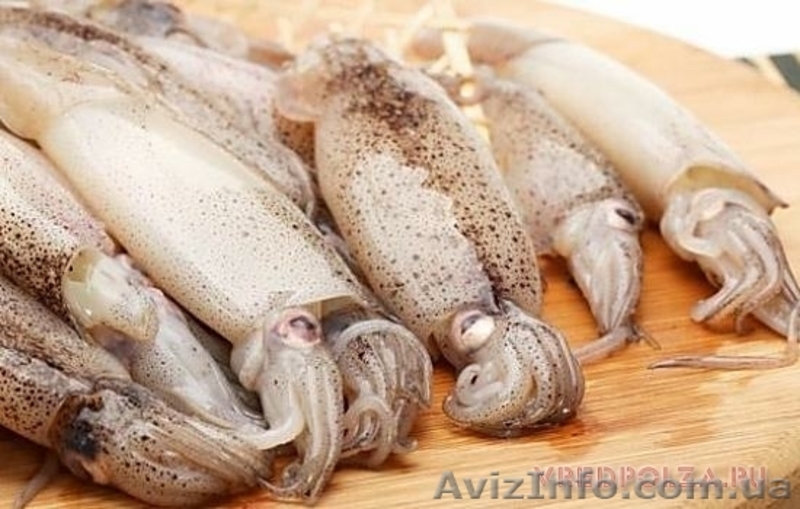 Кальмар тушка свежемороженный - <ro>Изображение</ro><ru>Изображение</ru> #1, <ru>Объявление</ru> #1627718